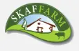 My Website
